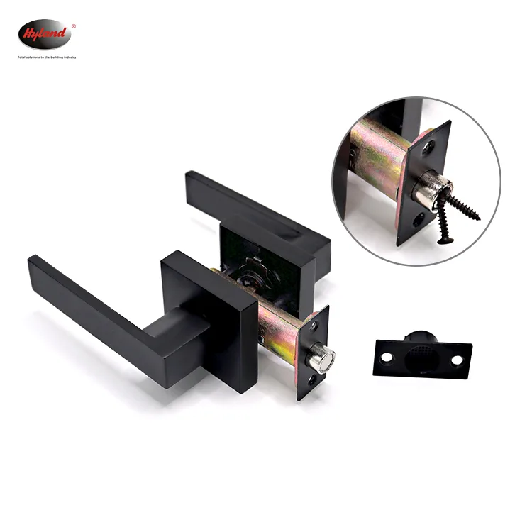 Hyland LH852 BNPS lever handle, view 2